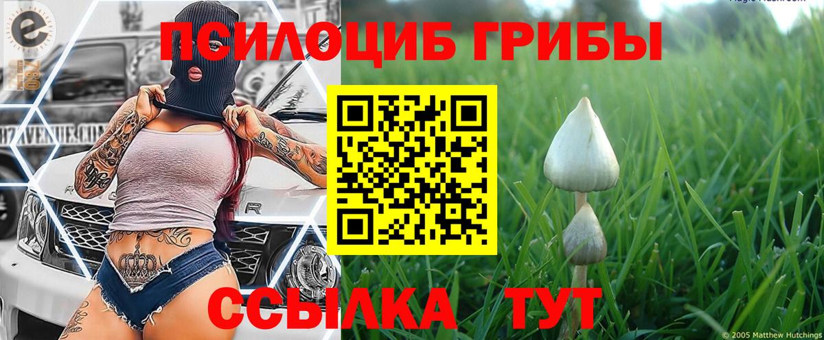 Псилоцибиновые грибы мухоморы Реутов