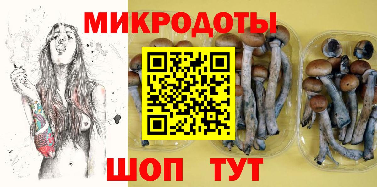 что такое наркотик  Галлюциногенные грибы GOLDEN TEACHER  Вход с VPN  Галлюциногенные грибы ЛСД  Реутов 